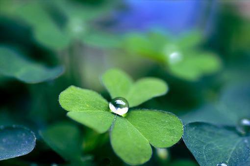 冬天养生又修身美食