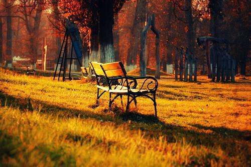 秋季九种食疗方