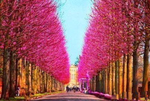 冬至养生从四方面着手