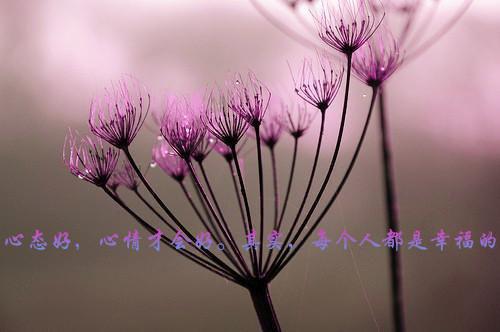 樱桃汁有减轻肌肉酸痛的功效