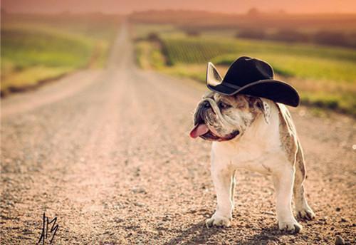 夏日排毒补水食疗方