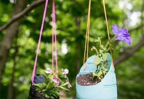 冬季养生 多吃萝卜好处多