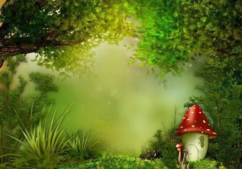 胃不好 喝点儿养胃茶