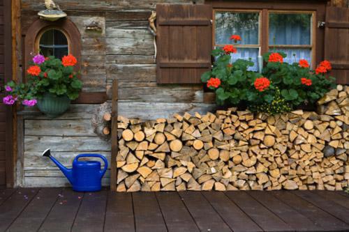 处暑开胃三宝:萝卜、鸭肉、糯米粥