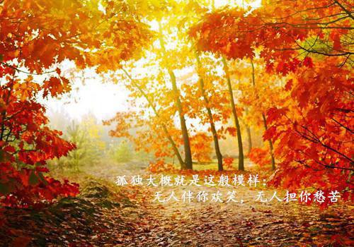 女人吃什么去火排毒