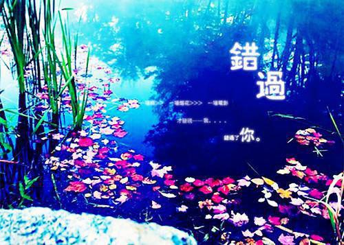 四款药膳养血又健骨