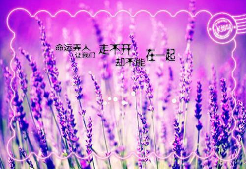 超减脂的5种食材 减肥效果杠杠的