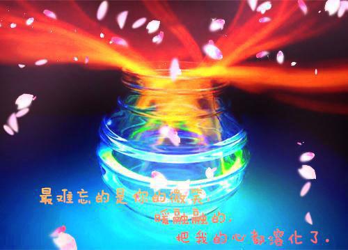 能有效可以降低胆固醇的食物