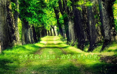 白醋洗脸 4种方法让你变白变美