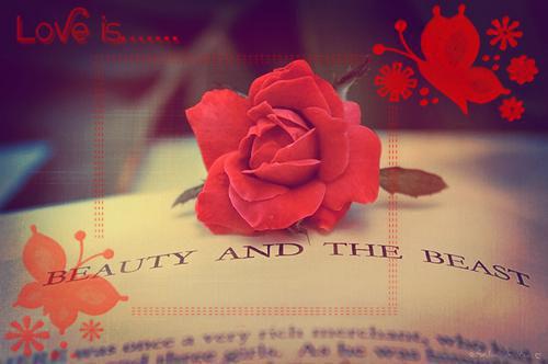 冬季补肾 5种黑色食物强肾养心