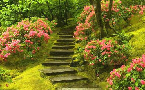 酷热暑天的饮食养生秘诀