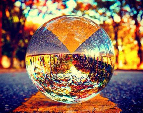 丝瓜可助顺月经