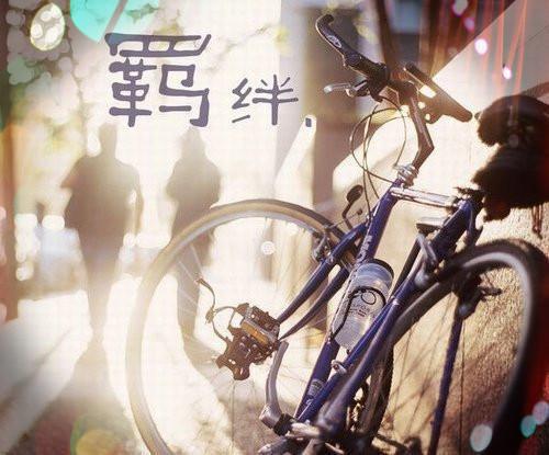 男人身体变强壮就吃这个