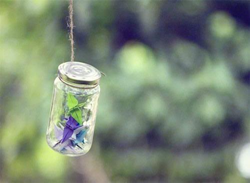 红蘑的食疗作用