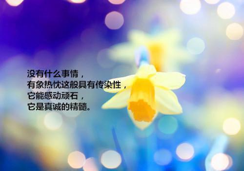 莲子孕妇可以吃吗，适当服用好处多