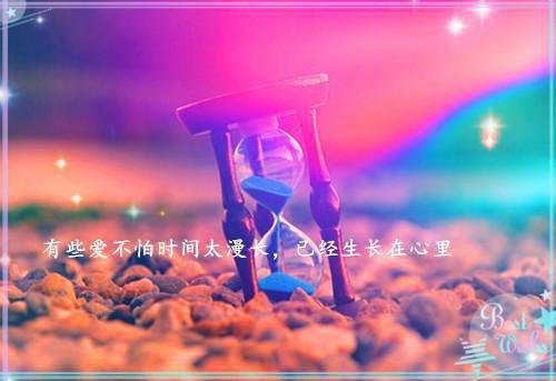5种超强吸脂减肥蔬菜 让你想胖都难