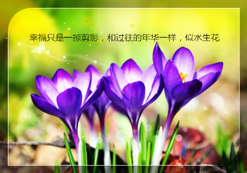 准妈妈在孕晚期需要哪些营养 怎么补充？