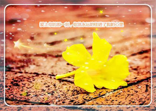 木薯的药用价值