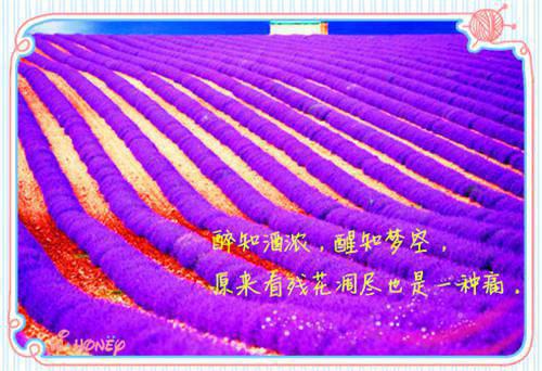 5道美味鱼虾菜肴 宝宝一定爱！