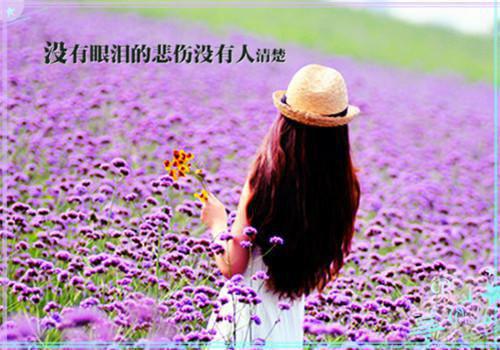 菠菜巧妙做法 宝宝身体健康