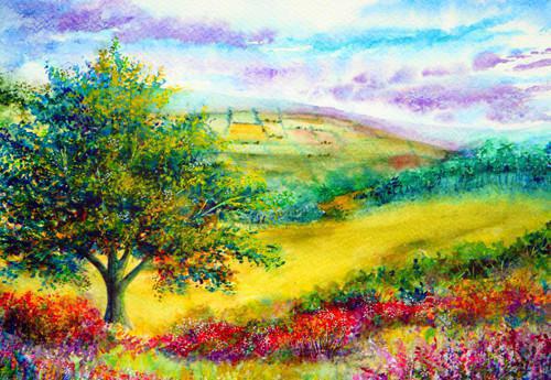 五种食物可以帮身体降温