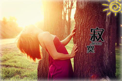 虫草进补注意事项