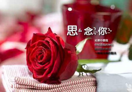 三款阿胶滋补食疗方