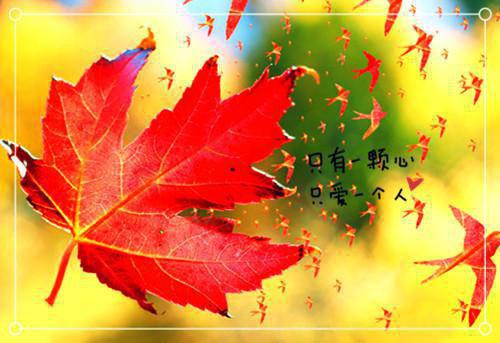 孩子缺锌要赶紧补 对症治疗更重要