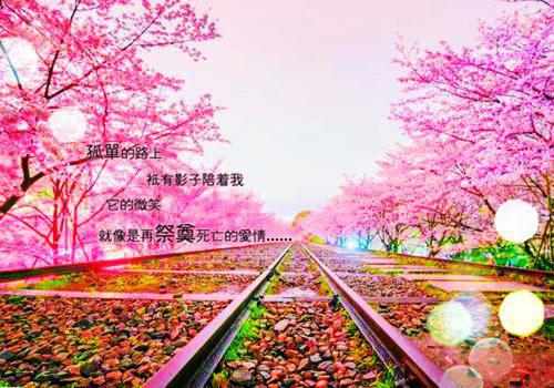 吃这6种水果减肥，很不错