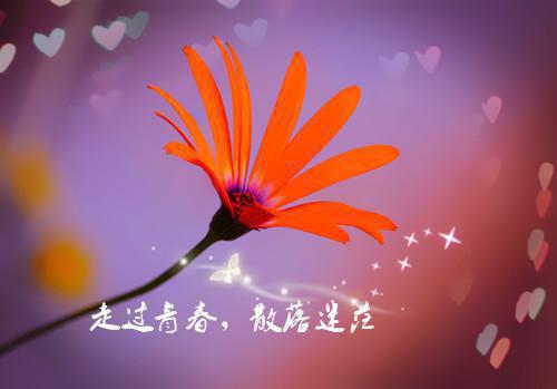 孕妈妈需要吃维生素片吗？