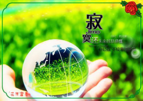 特殊日子的补血甜品食谱