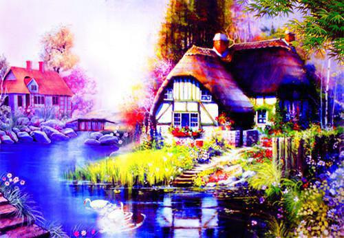 草菇营养价值剖析