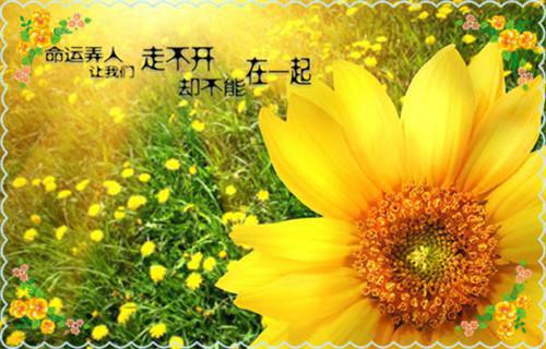 吃什么可缓解月经痛