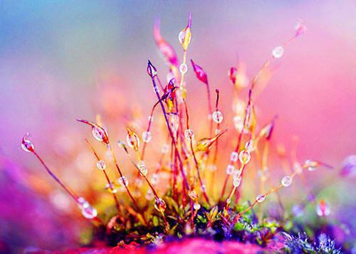 给宝宝的两款营养家常菜