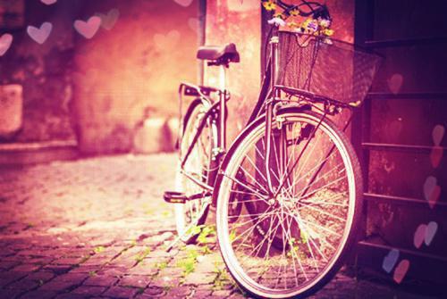 减肥果的4大功效 抗癌消炎降血压