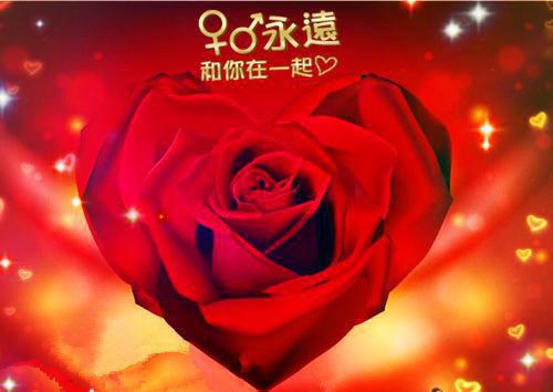 冬季吃什么养胃 进补滋养选这些就好