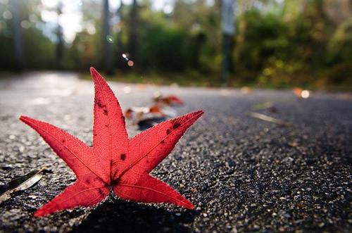 油性皮肤，也能清爽过夏