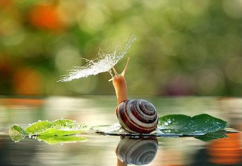 6款糖水，让你在这个冬天不再怕干燥!