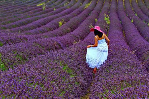 冬日五谷调养 暖补润心最养人