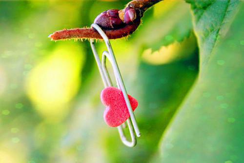 除了牛奶 拿什么补钙