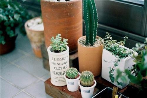 慢性支气管炎的食疗方