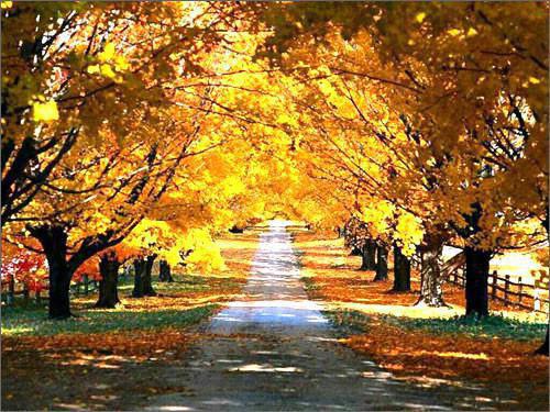 最排毒的20种食物