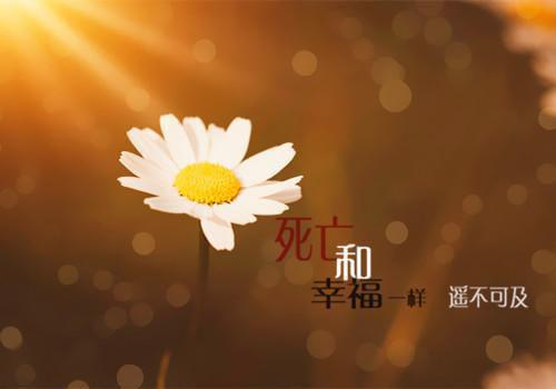 孕期如何补铁