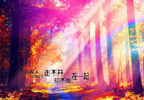 竹叶菜的药用价值