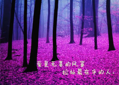 刚生完宝宝的妈妈要注意哪些饮食营养？