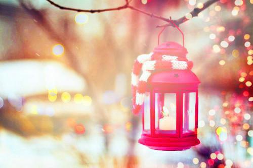 五款丰胸食谱 美味又丰胸