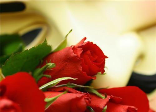 3款桂圆食谱 补气养身美味诱人