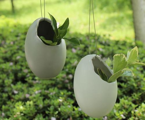 春季去湿 不妨吃这些