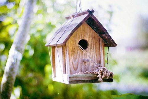 从牙齿看你会得什么病