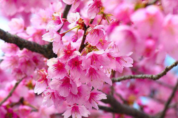 适合孩子的5款粗粮早餐食谱